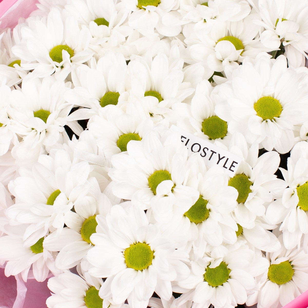 hrizantema romashka buket 6